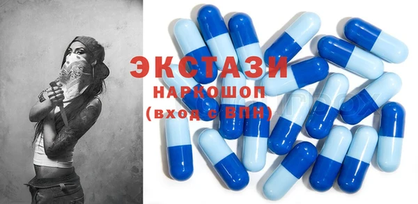 индика Инсар