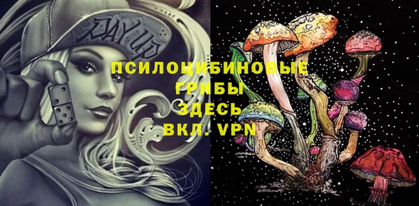 прущие крисы Зеленодольск