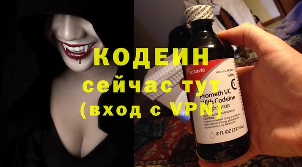 индика Инсар