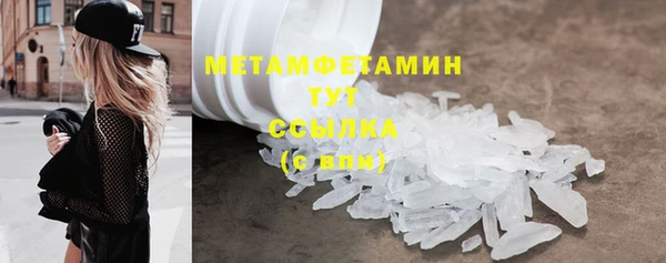индика Инсар
