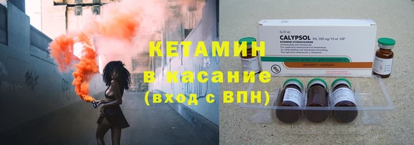 индика Инсар