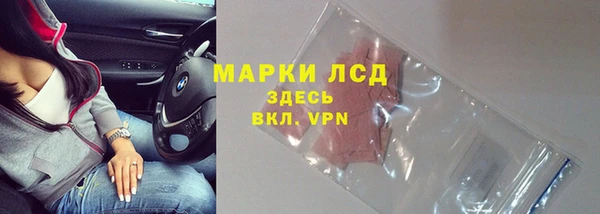 стаф Иннополис