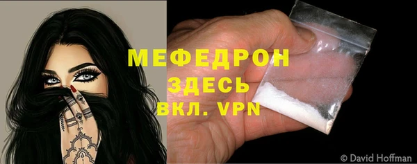 индика Инсар