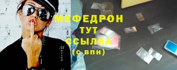 индика Инсар
