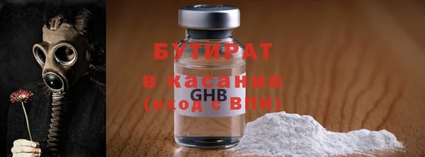 индика Инсар