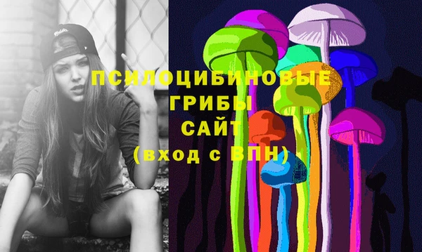 стаф Иннополис