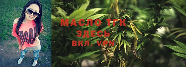 индика Инсар