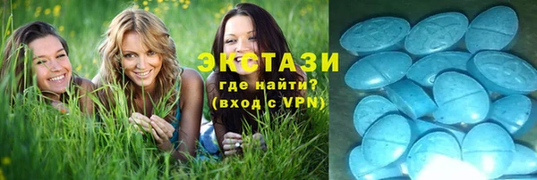 индика Инсар