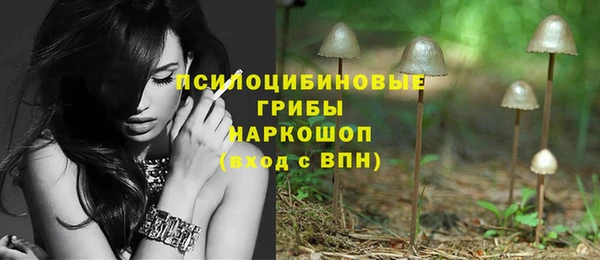 соль ск Инта