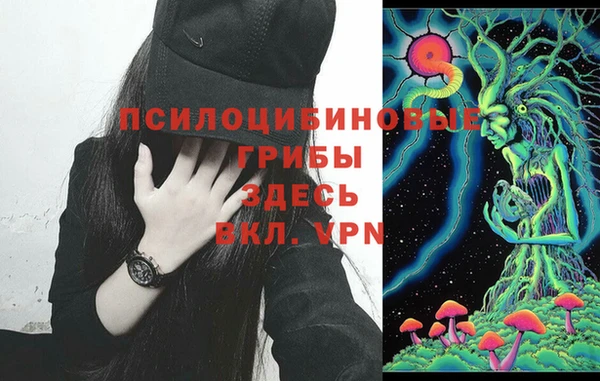 соль ск Инта
