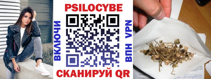 хочу   Котельниково  Галлюциногенные грибы GOLDEN TEACHER 